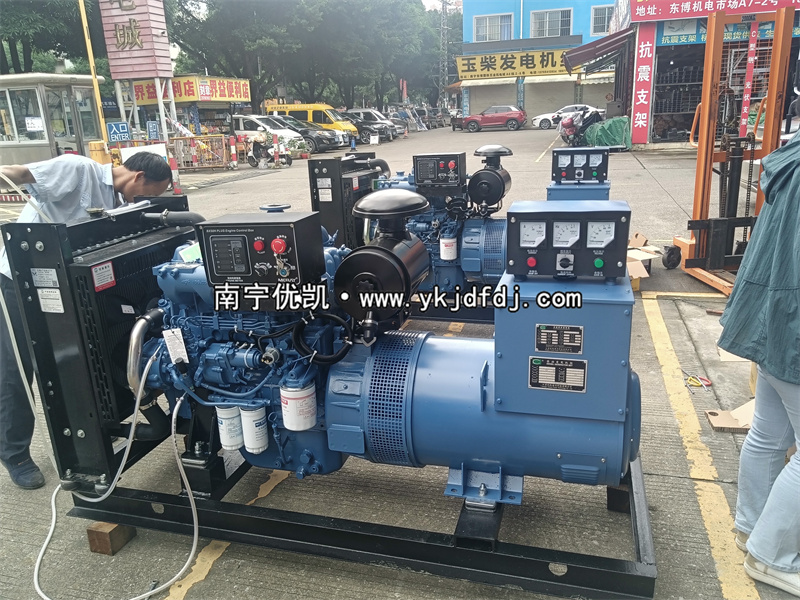 2024年5月31日，兩臺50KW玉柴發(fā)電機(jī)組試機(jī)發(fā)貨南寧某養(yǎng)殖場